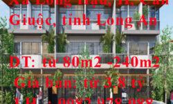 Cần bán nhà phố xây sẵn Elite Life vị trí ĐT826E, Xã Long Hậu, Huyện Cần Giuộc, tỉnh Long An