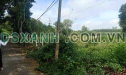 Em cần bán lô đất xã Thanh An có SHR để thu hồi vốn