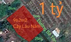 Bán lô đất cây lâu năm Tân Tru đường đan 3m giá 1 tỷ