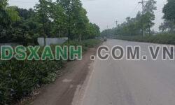 CHO THUÊ KHO NHÀ XƯỞNG PHAN TRỌNG TUỆ 280M2, MT 20M, GIÁ 19.6 TRIỆU, ĐIỆN 3 PHA.