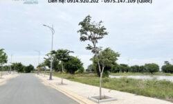 Dịch vụ ký gửi mua bán nhanh đất nền dự án Biên Hòa Newcity, Đồng Nai, giá tốt!