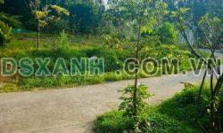 Bán mảnh 380,32m xã bản sen ,Vân Đồn ,Quảng Ninh phun thổ cư