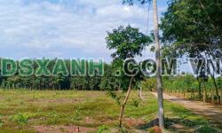 KẹT Tiền cần bán nhanh miếng đất giá rẻ