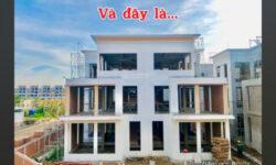 Cắt lỗ căn góc (vẫn làm việc với AE môi giới)