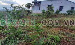 Cho thuê nhà và đất ven Đà Lạt 3.5tr