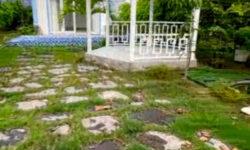 Bán nhà vườn ngay Phước Hội – Đất Đỏ – Bà Rịa – Vũng Tàu, 285m, 1T, giá đầu tư.