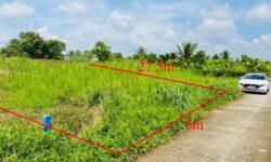 Bán đất thổ Bến Lức Long An
