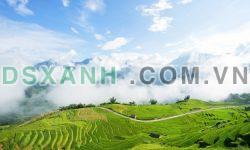 Đất trang trại, vườn giá cực rẻ , đầu tư thu lợi nhuận kép
