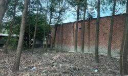Bán 125.1m2 đất xã Long Phước, Long Thành, SHR, 1.35 tỷ. Lh:0797901100,