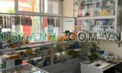 Chính chủ cho thuê cả nhà số 7 Ngõ 255 Lĩnh Nam, Hoàng Mai