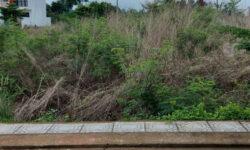 BÁN ĐẤT XÃ SÔNG TRẦU HUYỆN TRẢNG  BOM TỈNH ĐỒNG NAI
