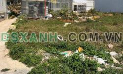 Bán Đất Mặt tiền KQH đường Hai Bà Trưng, Phường 7, Đà Lạt.