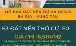 63 LÔ ĐẤT NỀN THỔ CƯ GIÁ ĐẦU TƯ SIÊU LỢI NHUẬN KHU LONG PHƯỚC TP. BÀ RỊA ĐANG ĐỢI CHỦ