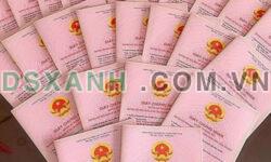 Cần bán mấy em chân dài giá rẻ