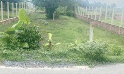 🔰 Bán đất 10 x 50m (532m2) CLN – Đường nhựa Số 9 – P. Long Phước – TP. Bà Rịa