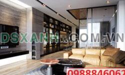 ⭐Chính chủ Bán căn hộ Astral Bình Hòa, Thuận An, Bình Dương, 2,95 tỷ; 0988846062