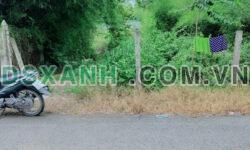 Bán 179,6m2 đất tại TDM Bình Dương, SHR, 2.39 tỷ. Lh:0382941231  0944882225