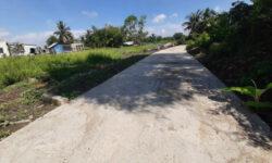 BÁN MIẾNG ĐẤT Ở BÌNH TRINH ĐÔNG, TÂN TRỤ LONG AN