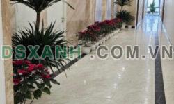 10 suất ưu đãi căn hộ cao cấp 54m2 trực tiếp CĐT Trust City giá hơn 1,7tỷ