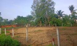 Lô Hoa Hậu Cực Đẹp 20x52m , Xuân Hòa , Xuân Lộc, Đồng Nai, Giá chỉ 232/m.