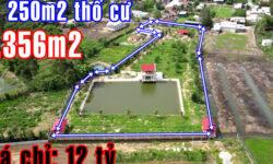 BÁN NHÀ VƯỜN GIÁ TỐT 7.356M2 ĐÃ TẠO CẢNH QUAN VÀ XÂY NHÀ THÔ KHU DÂN CƯ HÒA HỘI – XUYÊN MỘC