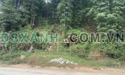 CC cần bán gấp mảnh đất 820m2 mặt đường Tả Phìn – Sapa, giá siêu rẻ