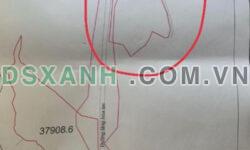 Cần bán đất rừng sản xuất tại Phúc Tiến, Kỳ Sơn, Hoà Bình. LH 0984299511