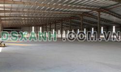 Cho thuê nhà xưởng xây mới 20000m2 tại Hải Dương
