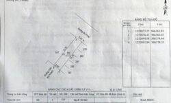 Cơ Hội Đầu Tư Đất Vàng Phường 3 – Vị Trí Độc Tôn