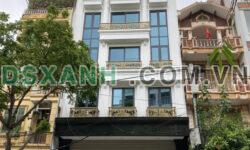 Cho Thuê Tòa Nhà Văn Phòng 8 Tầng Mặt Phố Hà Cầu.DT 120m2, Mt 8.6m. Giá 5000USD/tháng