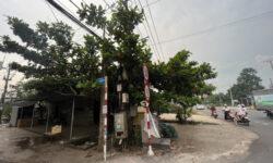 Mặt tiền đường nhựa. Full thổ cư. Sẵn sổ