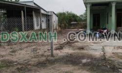 Cần tiền trả nợ gấp cho ngân hàng bán lô đất tặng nhà cấp 4 ở Vĩnh Tân- Tân Uyên 450tr