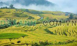 ĐẤT NỀN Y TÝ , ĐÓN SÓNG CAO TỐC HÀ NỘI – LÀO CAI.