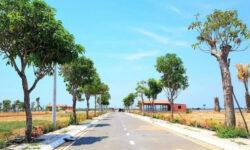 Bán Đất Long Hải- Bà Rịa Vũng Tàu.  Chỉ 12tr/m2.