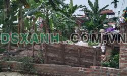 Cần bán gấp lô đất  mặt trục chính Ngọc Liệp – Quốc Oai lô góc 100m2 full thổ cư