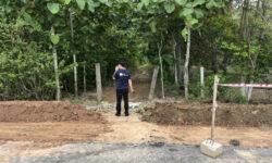 Mua vàng thì lỗ mua thổ thì lời, câu nói nhân gian quả không sai vào đâu được ạ