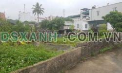 Bán đất nền khu kinh tế Vân Đồn 312,4m2 sổ sách rõ ràng