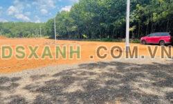 Chủ ngộp thở oxi bán gấp 1000m2 đất, giá 450 triệu.