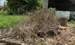 ĐẤT THỊ TRẤN DẦU GIÂY: CHÍNH CHỦ, SỔ RIÊNG, 146M2 THỔ CƯ.