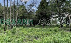 Bán 2 Lô Đất Liền Kề Ngay Vòng Xoay 60m Võ Nguyên Giáp, P. Tam Phước, Biên Hoà