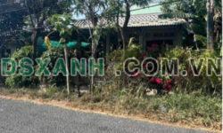 Bán nhà Ấp Thuận An Xã Long Thuận TP Gò Công, 1187m2 SHR 2.7 tỷ. Lh:0385867784