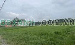 Đất đẹp hợp phong thủy tại Trảng Bàng, Tây Ninh giá ưu đãi