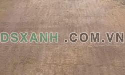 Bán rẻ gần 9 sào (8.660m2) Cao su đường xe tải. Thôn Bình Hòa, Nghĩa Bình, Bù Dăng, Bình Phước.