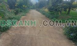 8764m2 đất vườn sầu riêng thôn 6, xã Lộc Nam, huyện Bảo Lâm, Lâm Đồng giá 4ty400