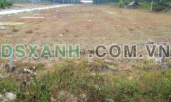 Bán đất nền tại Gò Dầu Tây Ninh giá chỉ từ 300 triệu đồng