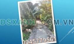 Cần bán lô đất thổ cư Phú Hựu, Cái Tàu Hạ, Đồng Tháp; 10tỷ; 0945779561