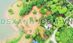 Chính chủ cần bán 3394m2 có 400m thổ cư tại Hòa Bình, chỉ hơn 5tr/m2. Lh:0377694444.
