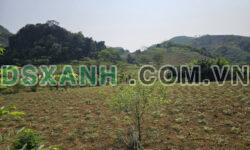 Chính Chủ bán lô đất nghỉ dưỡng 2500m2, mặt tiền dài 24m tại Xã Tú Sơn, Kim Bôi, Hòa Bình