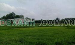 Bán đất nền ấp 1 xã Bàu Đồn huyện Gò Dầu tỉnh Tây Ninh