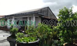 MẠI DZÔ!!! MẠI DZÔ!!! BÁN ĐẤT NHƠN TRẠCH DIỆN TÍCH LỚN, GIÁ RẺ ( Mời a chị e môi giới )